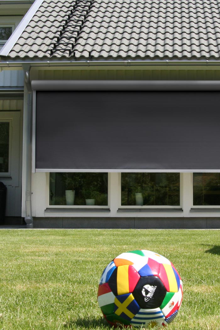 Screen